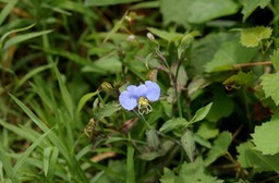 09292_JFR