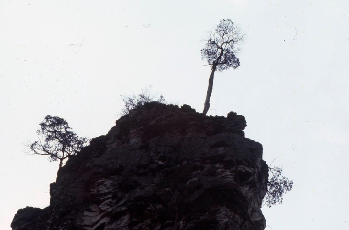 1979 Natural Chimney Regional Park 643
