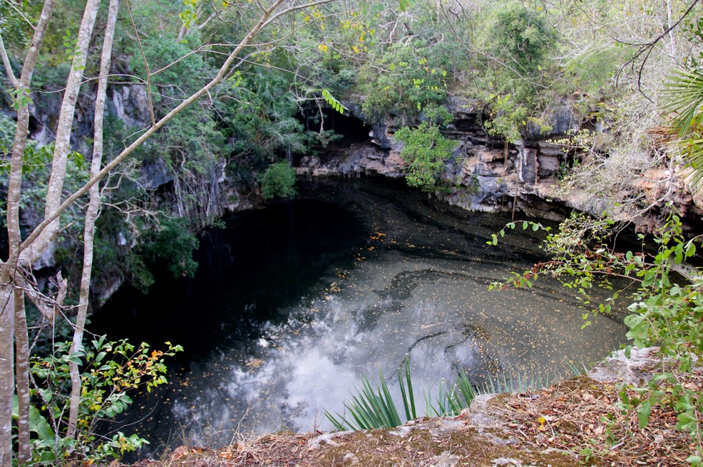 cenote1