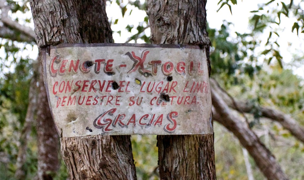 cenote2