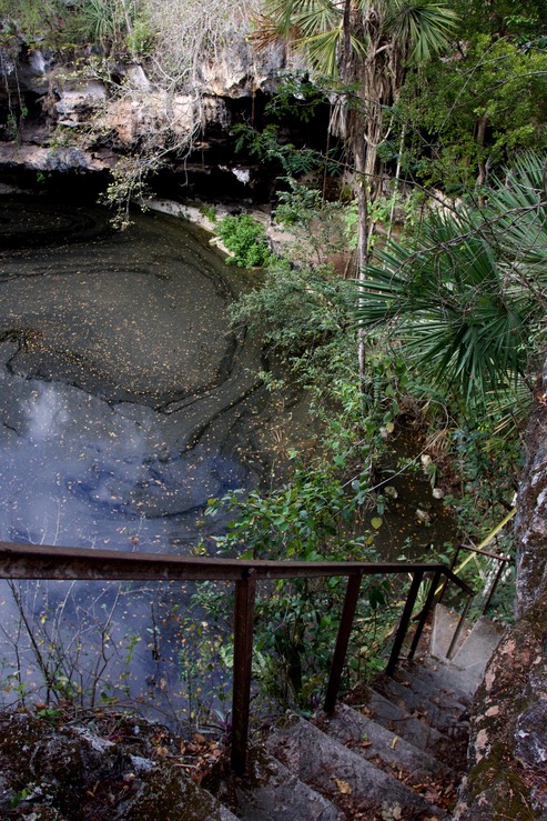 cenote3