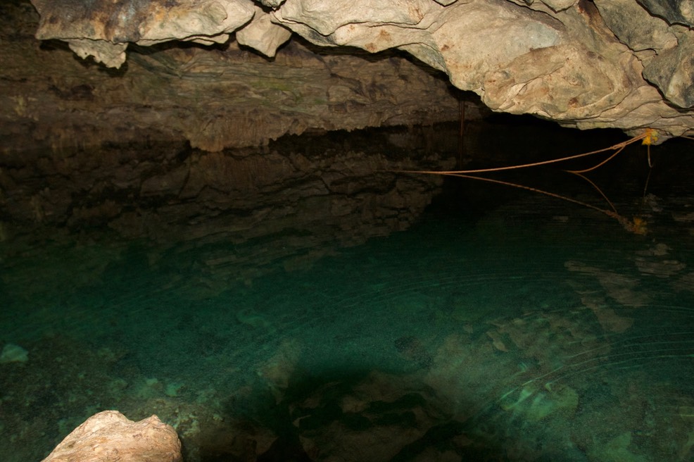 cenote6