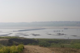 Chambal River, India 2