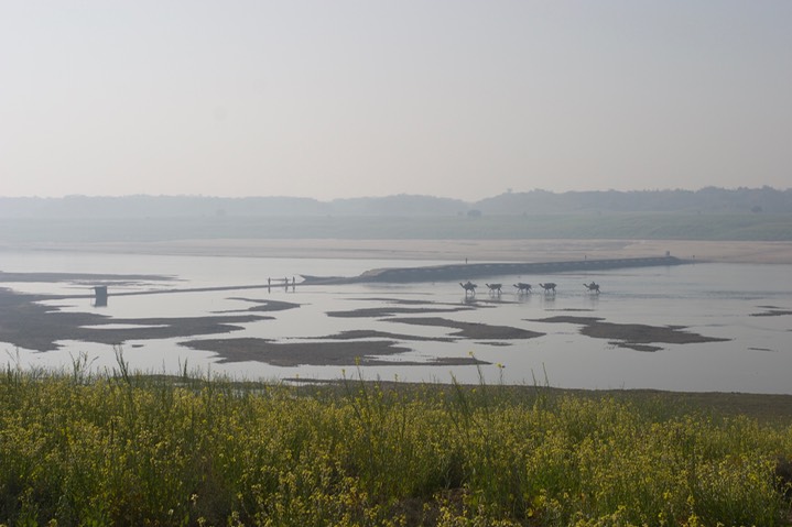 Chambal River, India 3