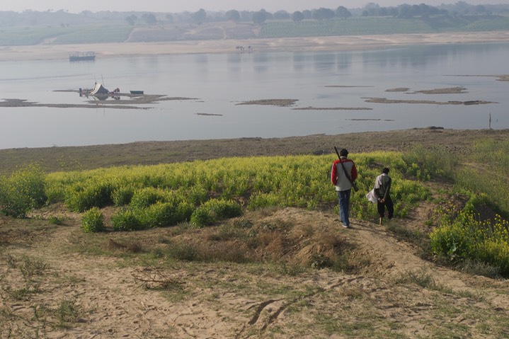 Chambal River, India 4