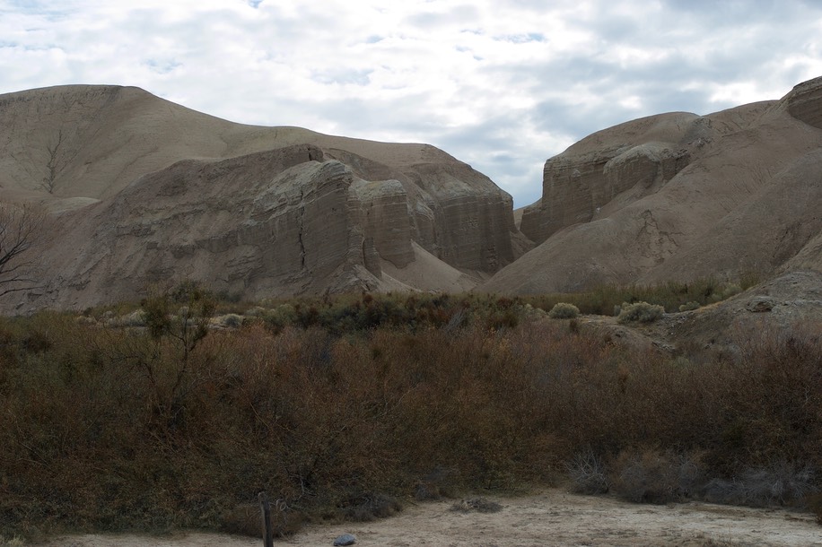 China Date Ranch