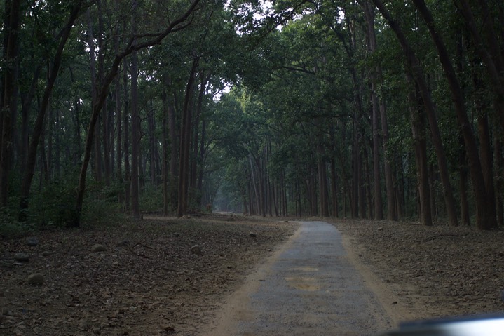 Corbett NP 2