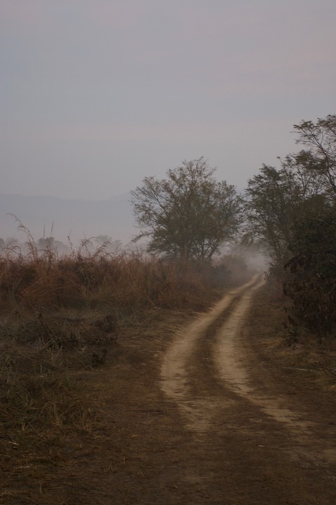 Corbett National Park, India