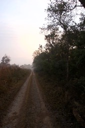 Corbett NP 4