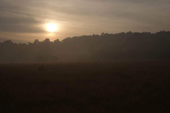Corbett NP5