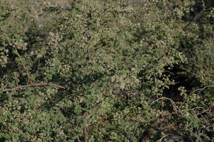 DSC00027