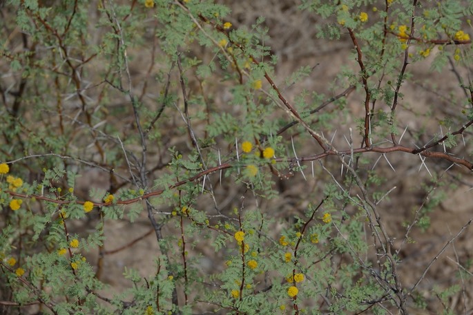 DSC00090