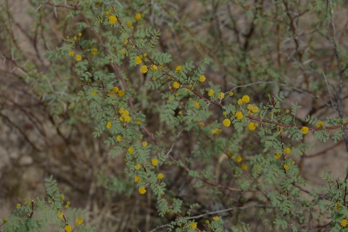 DSC00091