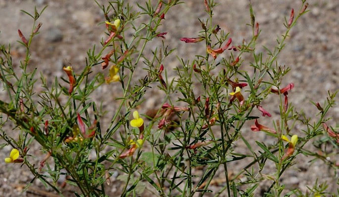 DSC00408