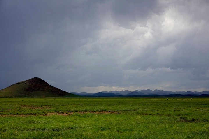 DSC01518