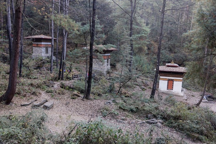 DSC03096
