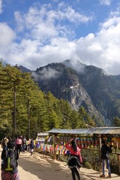 DSC03126