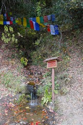 DSC03214