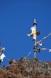 DSC03261
