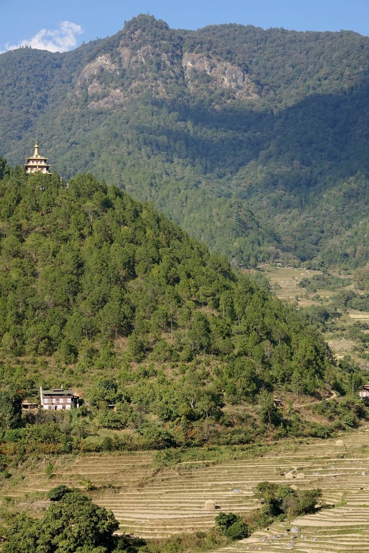 DSC03300
