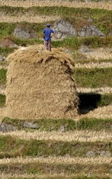 DSC03306