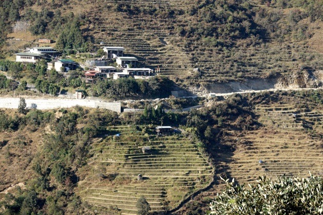 DSC03491