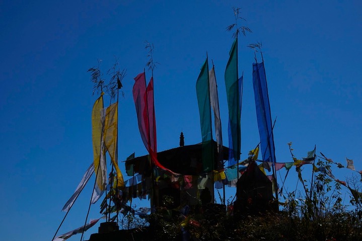 DSC03619