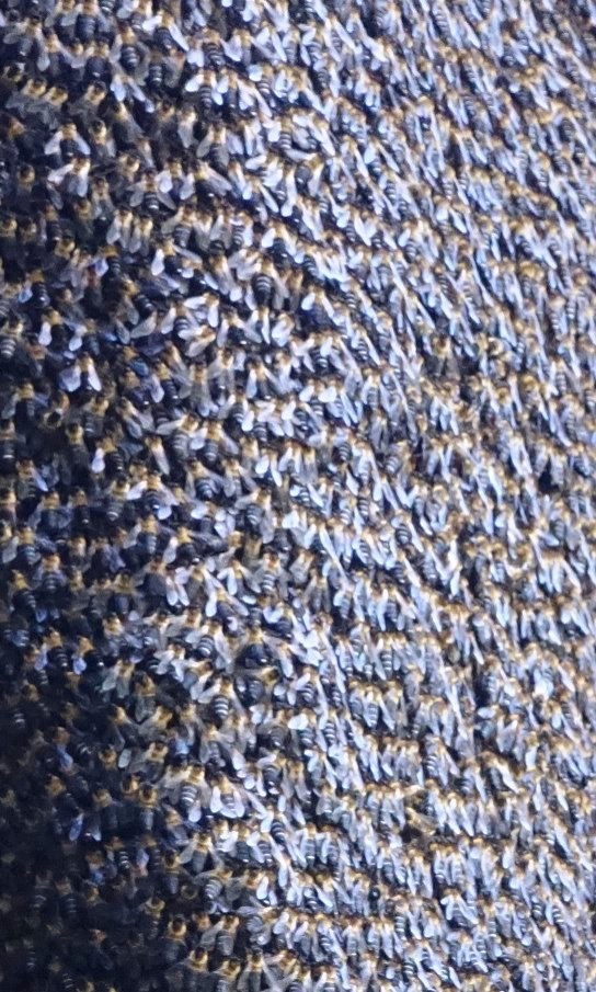 DSC03650