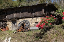 DSC03669