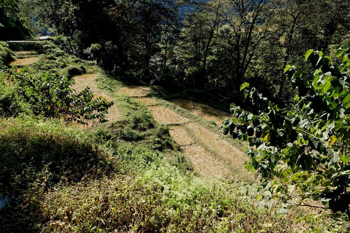 DSC03672