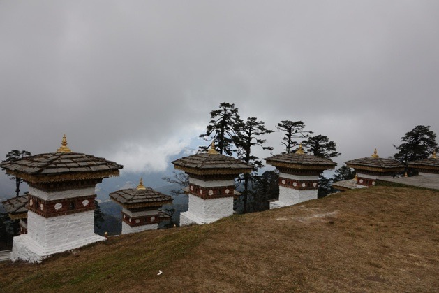 DSC03776