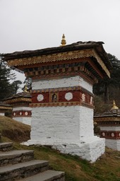 DSC03781