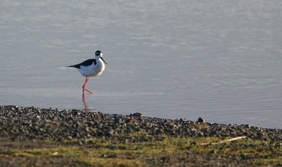 DSC04808