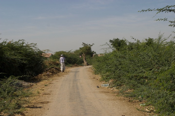 Gujarat8