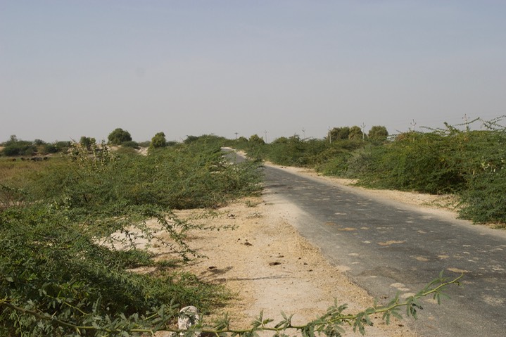 Gujarat