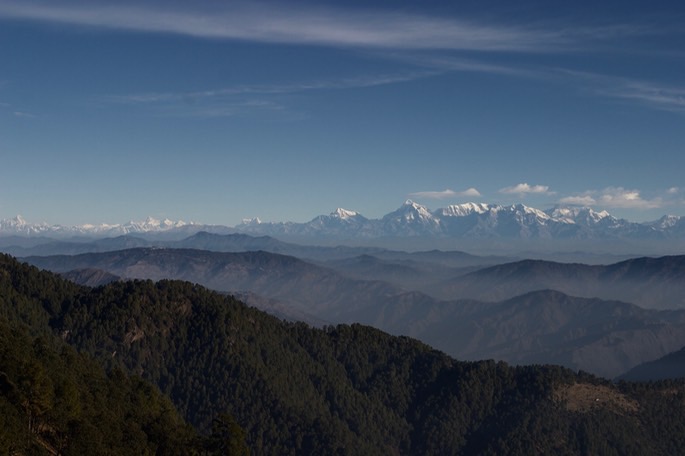 himalaya_med