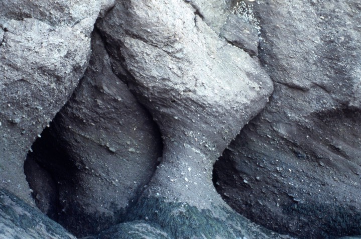 Hopewell Rocks620