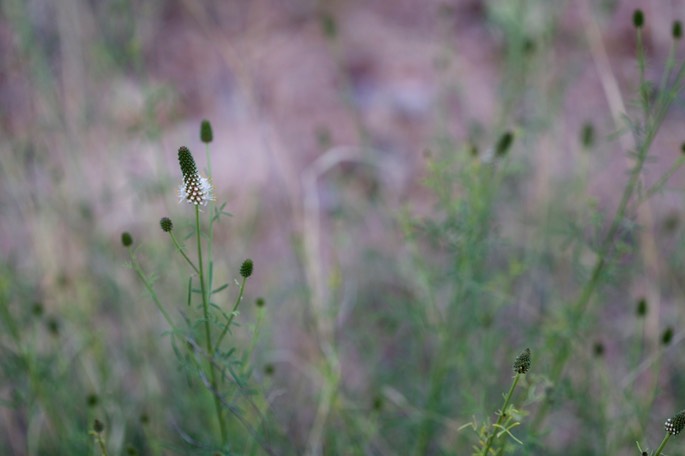 IMG_2886