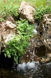 IMG_5944