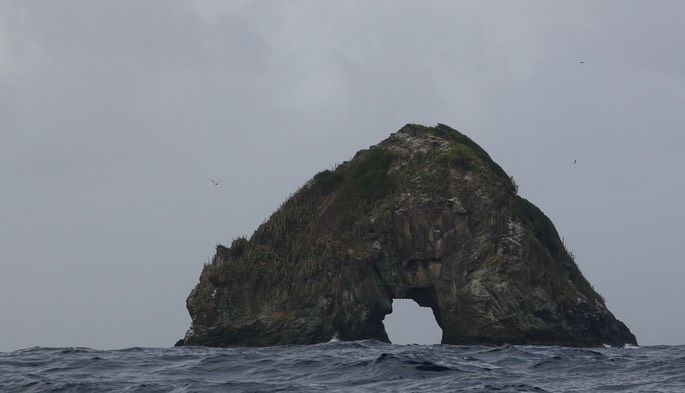 London Bridge Rock, Tobago3