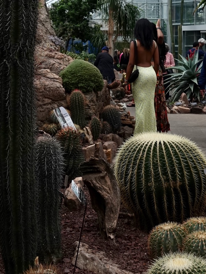 National Botanical Garden