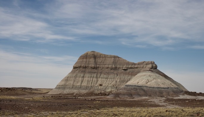 petrified-forest-national_med-18
