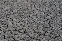 Rann of Kutch, Gujarat, India2