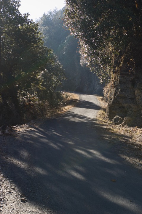 road 1