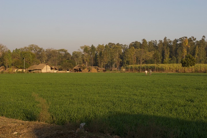 Uttar Pradish villagers 4