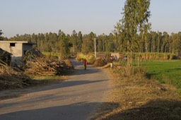 Uttar Pradish Villagers 5