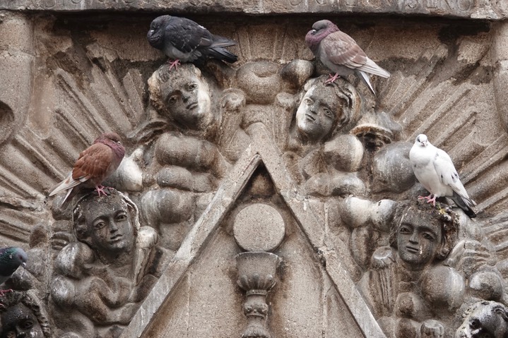 Oratorio de San Felipe Neri3